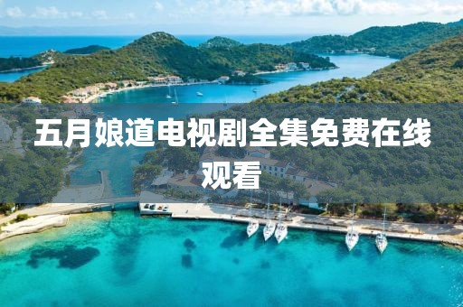 五月娘道电视剧全集免费在线观看