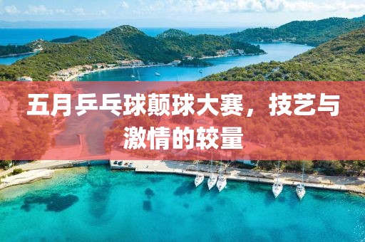 五月乒乓球颠球大赛，技艺与激情的较量
