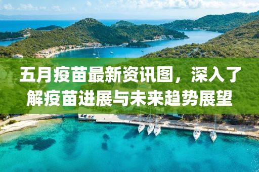 五月疫苗最新资讯图，深入了解疫苗进展与未来趋势展望
