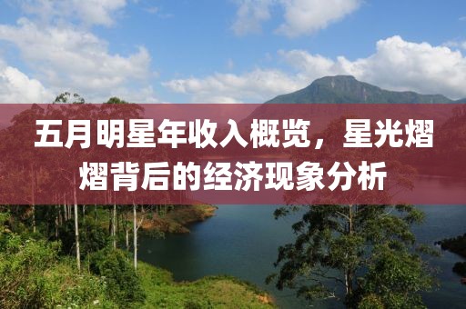 五月明星年收入概览，星光熠熠背后的经济现象分析