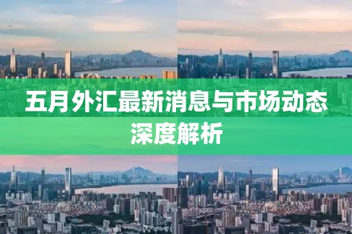 五月外汇最新消息与市场动态深度解析