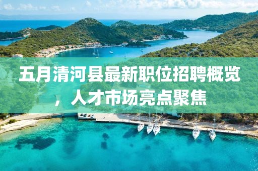 五月清河县最新职位招聘概览，人才市场亮点聚焦