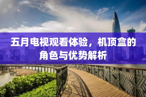 五月电视观看体验，机顶盒的角色与优势解析