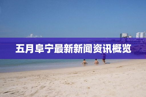 五月阜宁最新新闻资讯概览