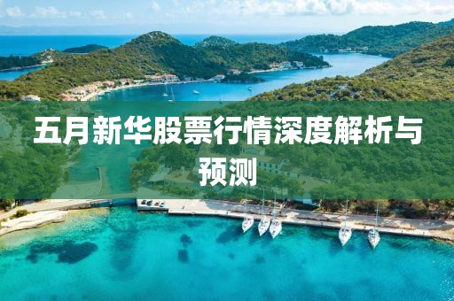 五月新华股票行情深度解析与预测