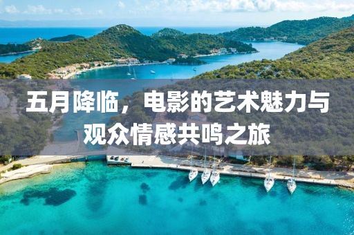 五月降临，电影的艺术魅力与观众情感共鸣之旅
