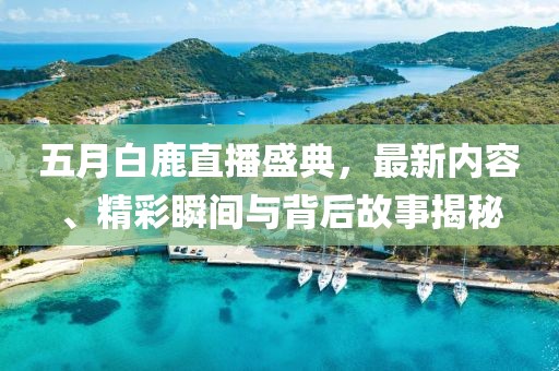 五月白鹿直播盛典，最新内容、精彩瞬间与背后故事揭秘
