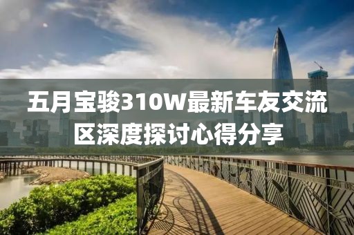 五月宝骏310W最新车友交流区深度探讨心得分享