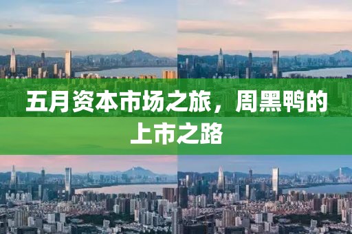 五月资本市场之旅，周黑鸭的上市之路