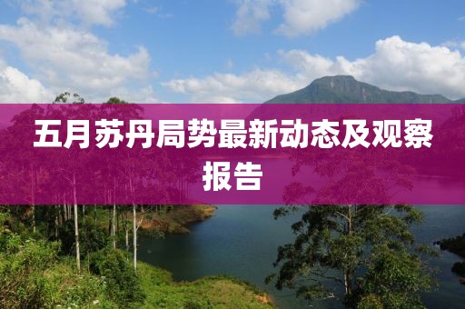 五月苏丹局势最新动态及观察报告