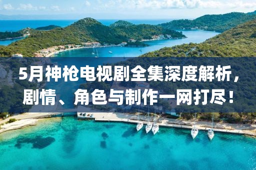 5月神枪电视剧全集深度解析，剧情、角色与制作一网打尽！
