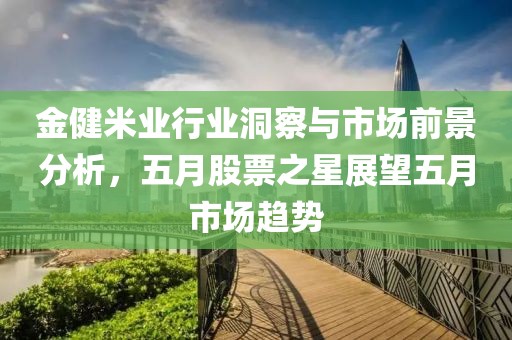 金健米业行业洞察与市场前景分析，五月股票之星展望五月市场趋势