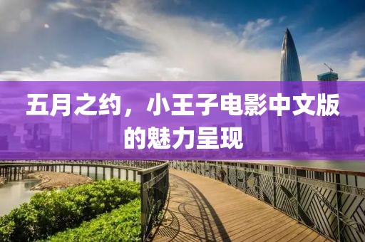 五月之约，小王子电影中文版的魅力呈现