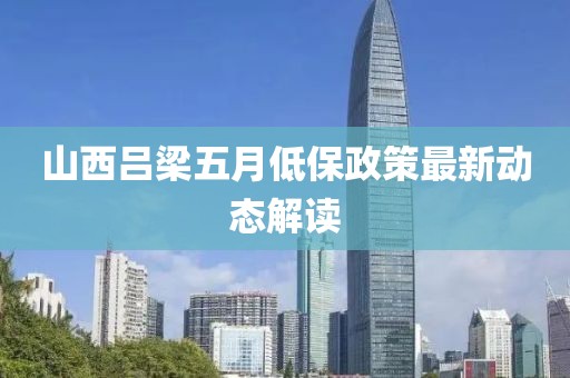 山西吕梁五月低保政策最新动态解读