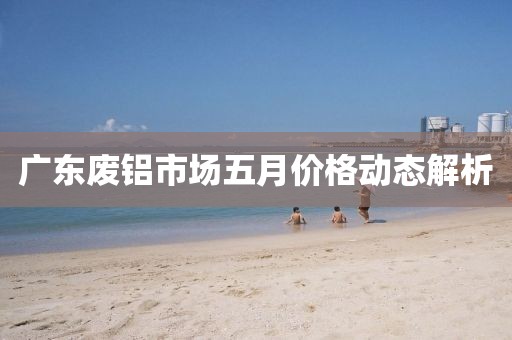 广东废铝市场五月价格动态解析