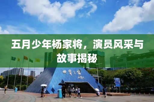 五月少年杨家将，演员风采与故事揭秘
