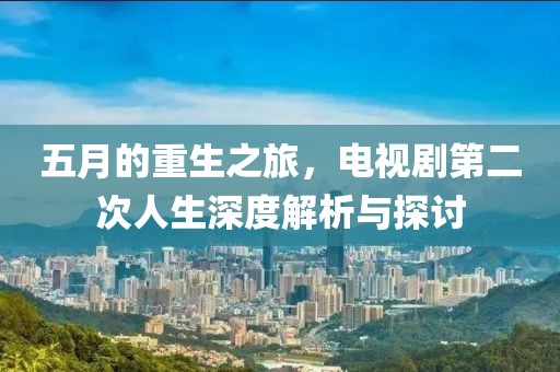 五月的重生之旅，电视剧第二次人生深度解析与探讨