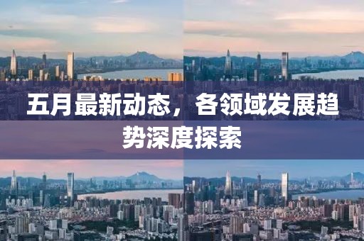 五月最新动态，各领域发展趋势深度探索