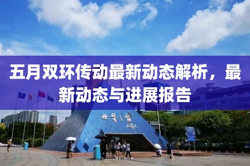 五月双环传动最新动态解析，最新动态与进展报告