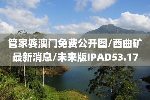 管家婆澳门免费公开图/西曲矿最新消息/未来版IPAD53.17