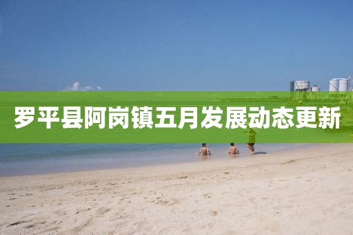 罗平县阿岗镇五月发展动态更新