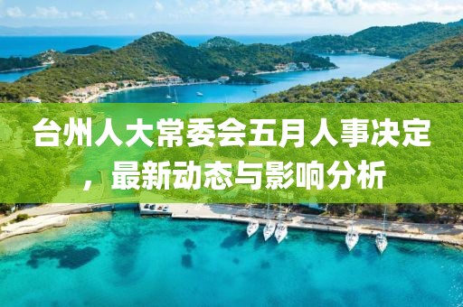 台州人大常委会五月人事决定，最新动态与影响分析