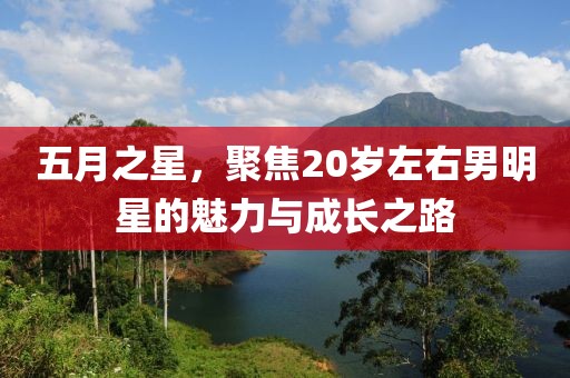 五月之星，聚焦20岁左右男明星的魅力与成长之路