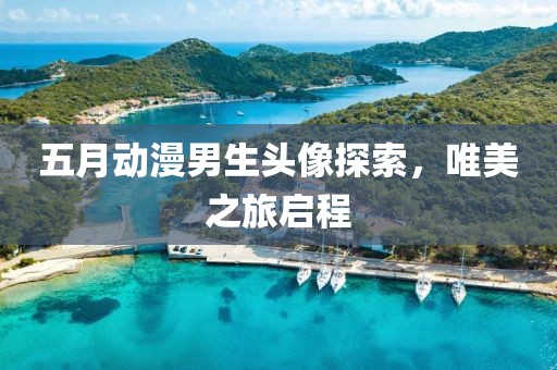 五月动漫男生头像探索，唯美之旅启程