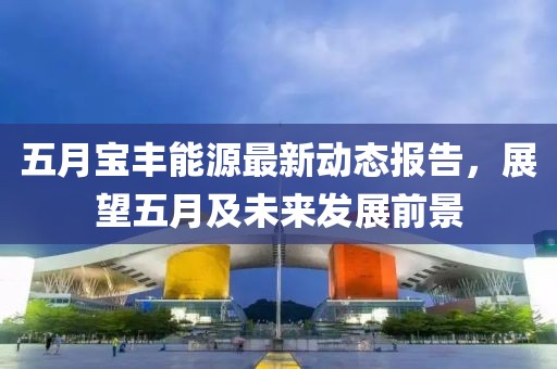 五月宝丰能源最新动态报告，展望五月及未来发展前景
