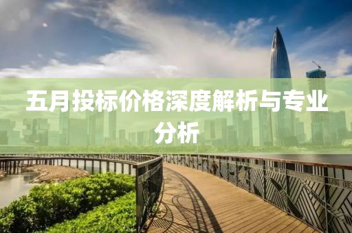 五月投标价格深度解析与专业分析