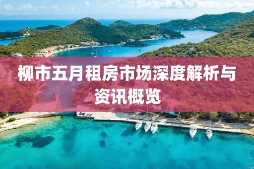 柳市五月租房市场深度解析与资讯概览