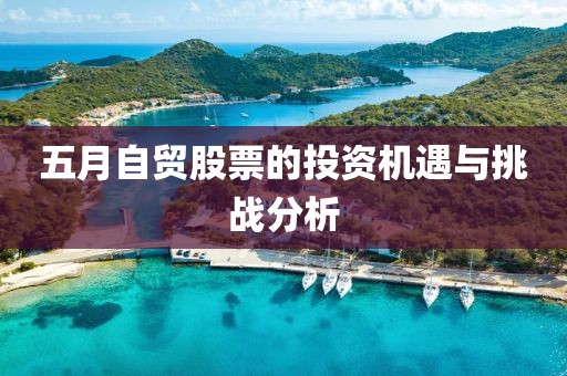 五月自贸股票的投资机遇与挑战分析