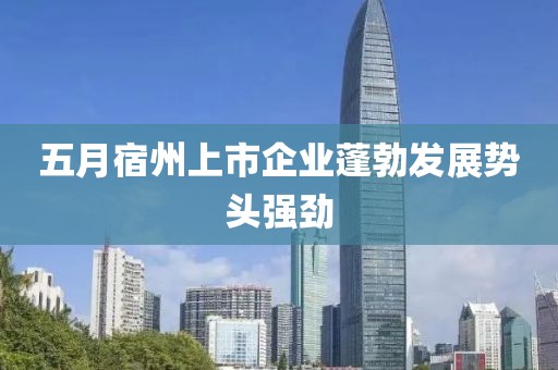 五月宿州上市企业蓬勃发展势头强劲
