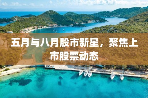 五月与八月股市新星，聚焦上市股票动态
