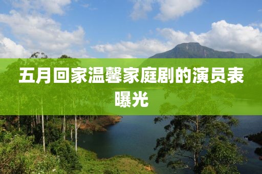 五月回家温馨家庭剧的演员表曝光