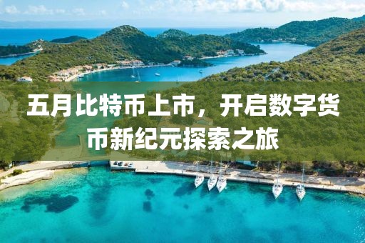 五月比特币上市，开启数字货币新纪元探索之旅