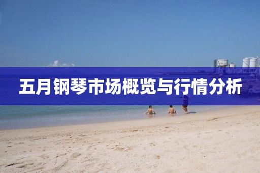 五月钢琴市场概览与行情分析