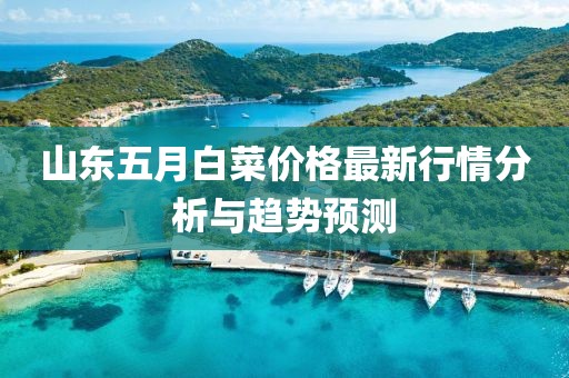 山东五月白菜价格最新行情分析与趋势预测