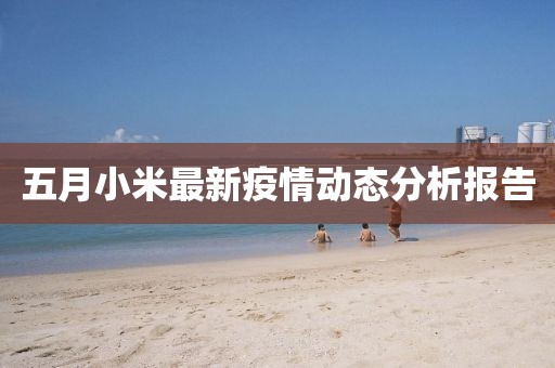 五月小米最新疫情动态分析报告