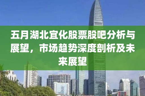 五月湖北宜化股票股吧分析与展望，市场趋势深度剖析及未来展望