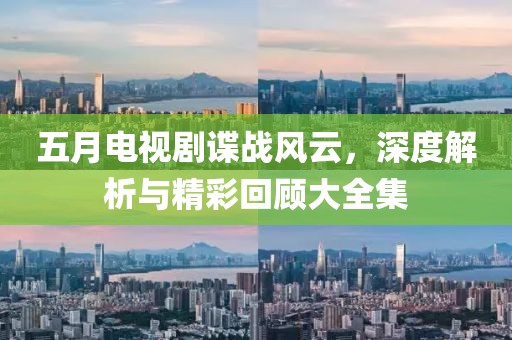 五月电视剧谍战风云，深度解析与精彩回顾大全集