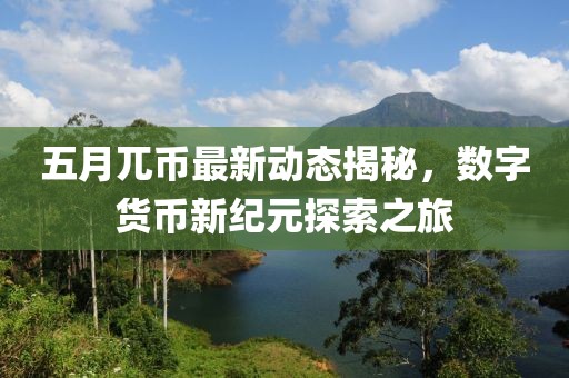 五月兀币最新动态揭秘，数字货币新纪元探索之旅