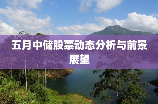 五月中储股票动态分析与前景展望