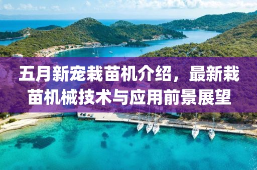 五月新宠栽苗机介绍，最新栽苗机械技术与应用前景展望