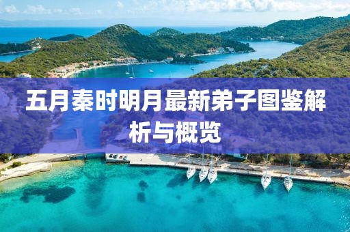 五月秦时明月最新弟子图鉴解析与概览