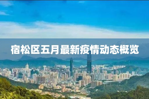 宿松区五月最新疫情动态概览