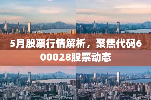 5月股票行情解析，聚焦代码600028股票动态
