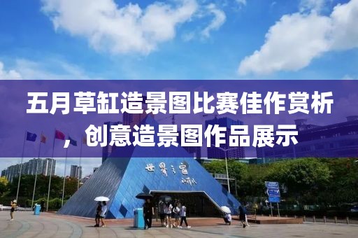 五月草缸造景图比赛佳作赏析，创意造景图作品展示