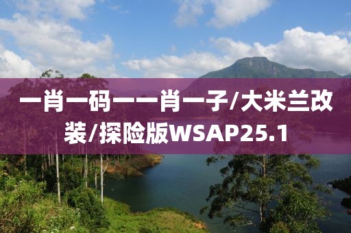 一肖一码一一肖一子/大米兰改装/探险版WSAP25.1