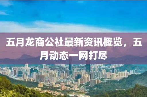 五月龙商公社最新资讯概览，五月动态一网打尽